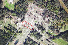 Birštono sav. nemuno kilpų regioninis parkas sodas miške