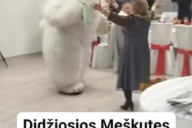 Didžiosios meškutės sveikinimai visuose miestuose