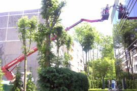 Auto bokštelis nuomai