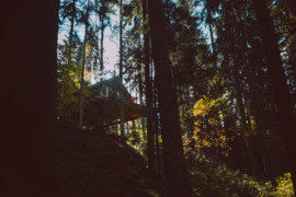 Namelio nuoma, Plungės r. sav.  Žvirblaičiai (Babrungo sen.)  Žirgų g.