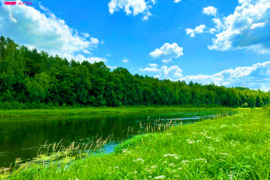 224.00 a sklypas Alytaus r. sav., Panemuninkai