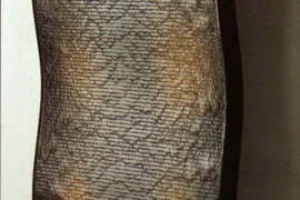 Vandens siena krioklys tropinis interjeras