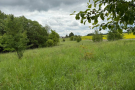 PARDUODAMAS 4,0996 HA SKLYPAS MARGARAVOS K., ALYTAUS R. – ŠALIA NEMUNO IR PUNIOS ŠILO!