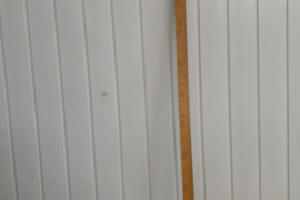 PARDUODAMAS PROFESIONALUS METRAS