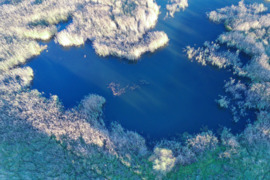 Buvęs karjeras Jotainių miške 7,92ha