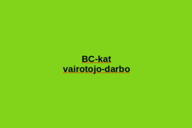 BC-kat 48met vyras Vairotojas Darbo