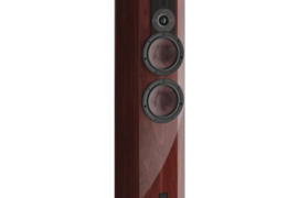 DALI Rubicore 6  Kolonėlės, garsiakalbiai