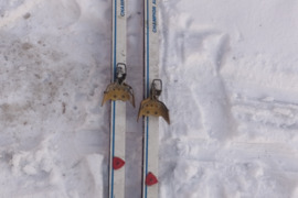 Champion as trak slidės ir slidžių racing lazdos