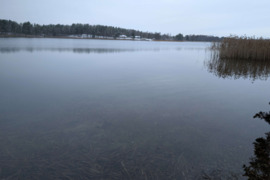 840 a sklypas Lazdijų r. sav., Beržiniai