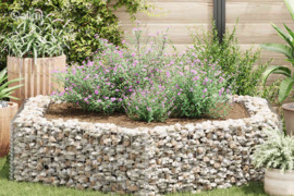 vidaXL Šešiakampis gabiono vazonas, 200x173x40cm, aukštas