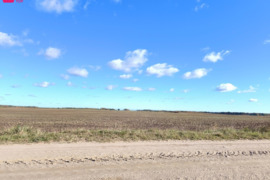 292 a sklypas Šakių r. sav., Kudirkos Naumiestis