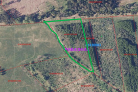 Parduodamas 1,24 ha ž.ū paskirties sklypas su įveistu mišku Deltuvėlės km Ukmergės raj