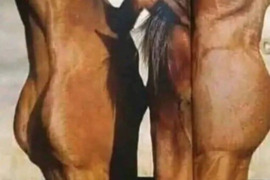 Ieškau merginos seksui