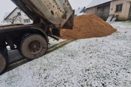 Smelis zvyras alytus