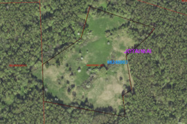 Sklypas sodybvietei Jotainių miške 3,74ha