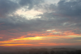 1 kamb. butas Klaipėda, Miško, Veterinarijos g.