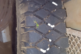 Padangos  220-508., Kita