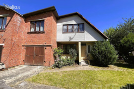 Panevėžio r. sav., Naujikai