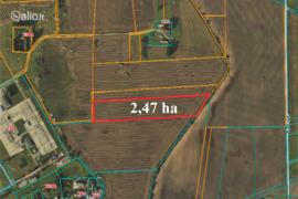 247.0 a sklypas Panevėžio r. sav., Bliūdžiai