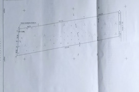 Parduodamas žemės ūkio, miškų ūkio paskirties sklypas 4ha