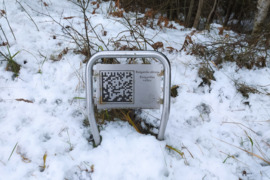 Parduodamas visuomenės komercinės paskirties sklypas šalia Raigardo muitinės posto