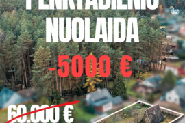 Pušynų mylėtojams jaukus vasarnamis Sakiškėse