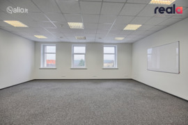 Patalpos Vilnius, Vilkpėdė, Naujoji Riovonių g.