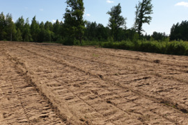 Išnuomojamas 3ha.žū.p.sklypas Klaipedos raj.Šilenų k.