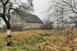 Parduodama sodyba-vienkiemis Grumšlių k., Biržų r.