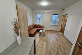 1 kambario buto nuoma Pušų g. Panemunė, Kaunas.