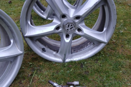 Lieti ratlankiai, R-17