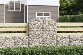 vidaXL Išlenktas gabiono krepšys, 100x30x120/140cm, geležis