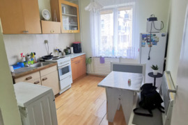 Nuomojamas erdvus 1 kamb.butas Naujakurių g.