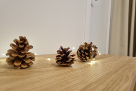 2 kambarių butas geroje lokacijoje