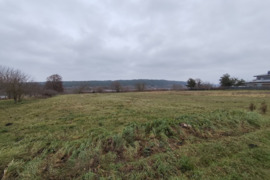 Parduodamas sklypas Zapyškio mstl. Vytauto g.