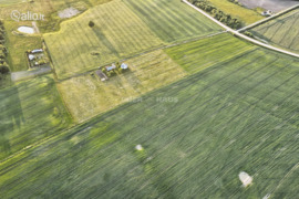 125.00 a sklypas Kaišiadorių r. sav., Juodiškės