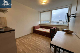 1 kamb. butas Vilnius, Antakalnis, Žolyno g.