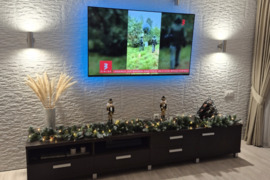 Sekcija tv staliukas