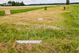 20.8 a sklypas Šiaulių r. sav., Sauginiai (Kužių sen.)