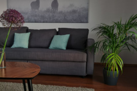 Dviejų kambarių buto nuoma Laisvės pr.