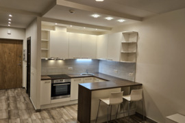 1k. butas Ozo Parke su požeminio parkavimo vieta Vilniuje