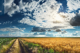 2490.0 a sklypas Pasvalio r. sav., Kiemėnai