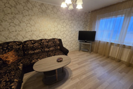 Nuomuoju 1 kambario su holu butą