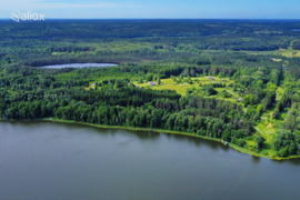 392.0 a sklypas Molėtų r. sav., Grinkliškiai