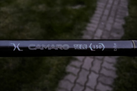 DAM meškerykotis bei Larus ritė