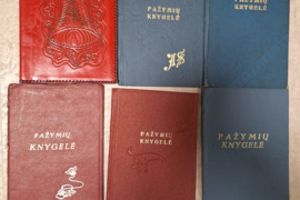 Parduodamos senoviškos pažymių knygelių įmautės