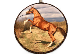 Suvenyrai su 2026 metų simbolika  