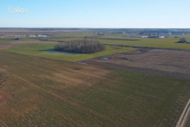 319.0 a sklypas Panevėžio r. sav., Krekenava