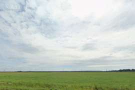 81.81 a sklypas Klaipėdos r. sav., Dreverna