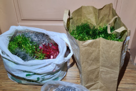 Blizgučiai eglutei, patalpoms....